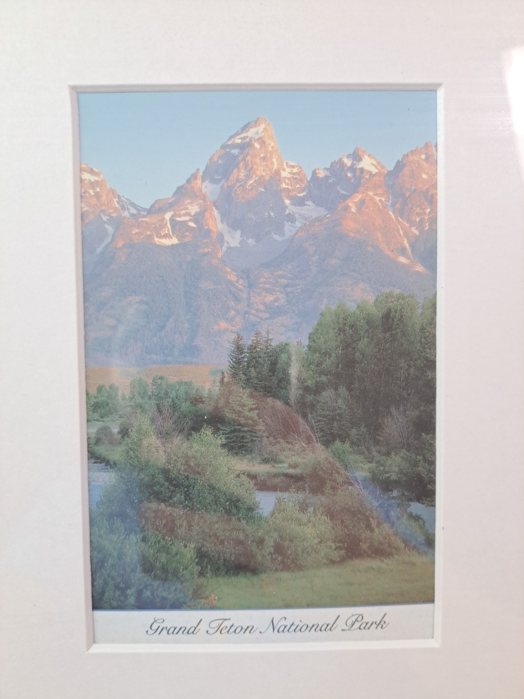 3 Framed Souvenir Prints Or Postcards Of Yellowstone National & Grand Teton Park
