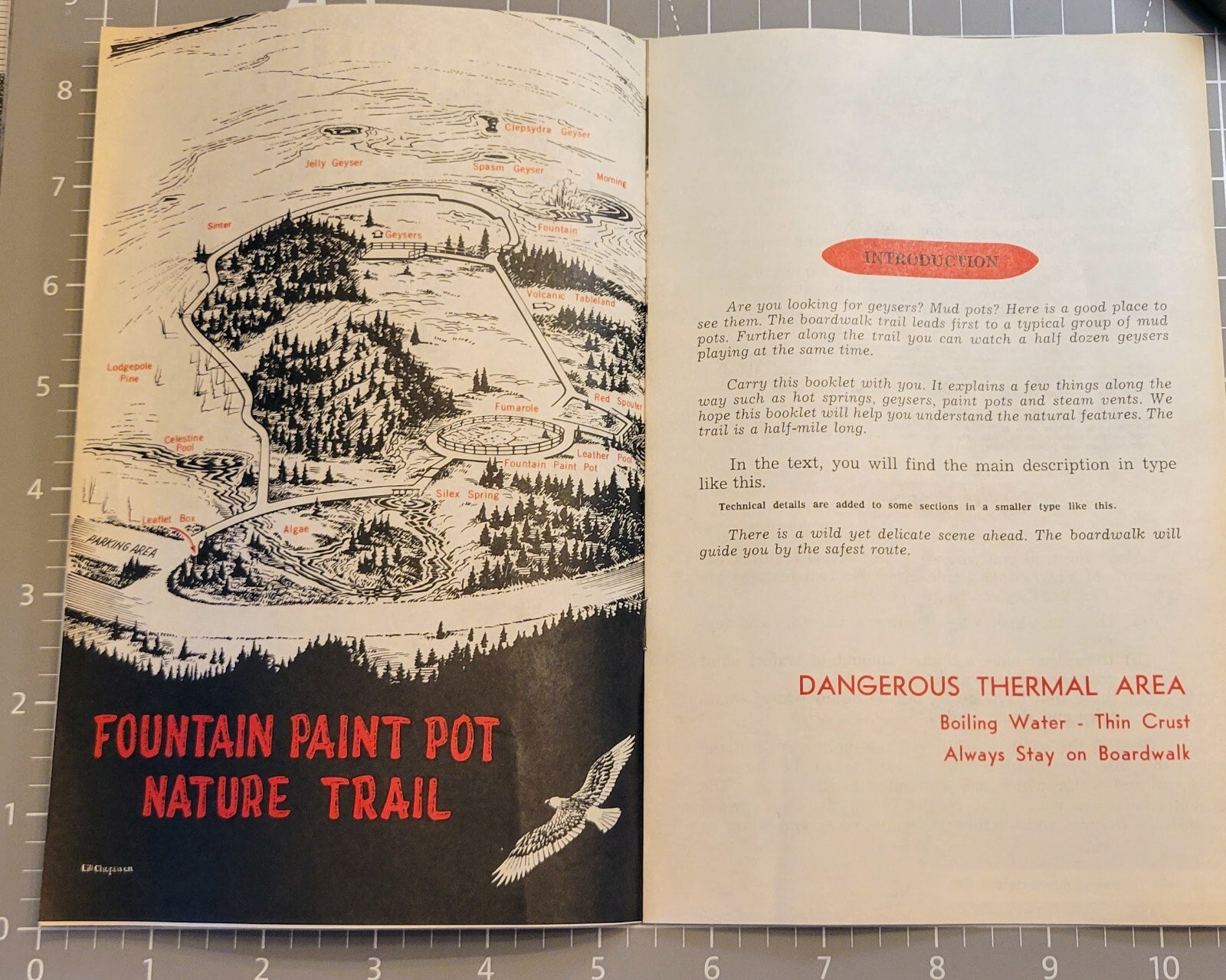 Vtg Bklt Fountain Paint Pot Nature Trail Yellowstone Nat’l Park 1983 Bill Chapma