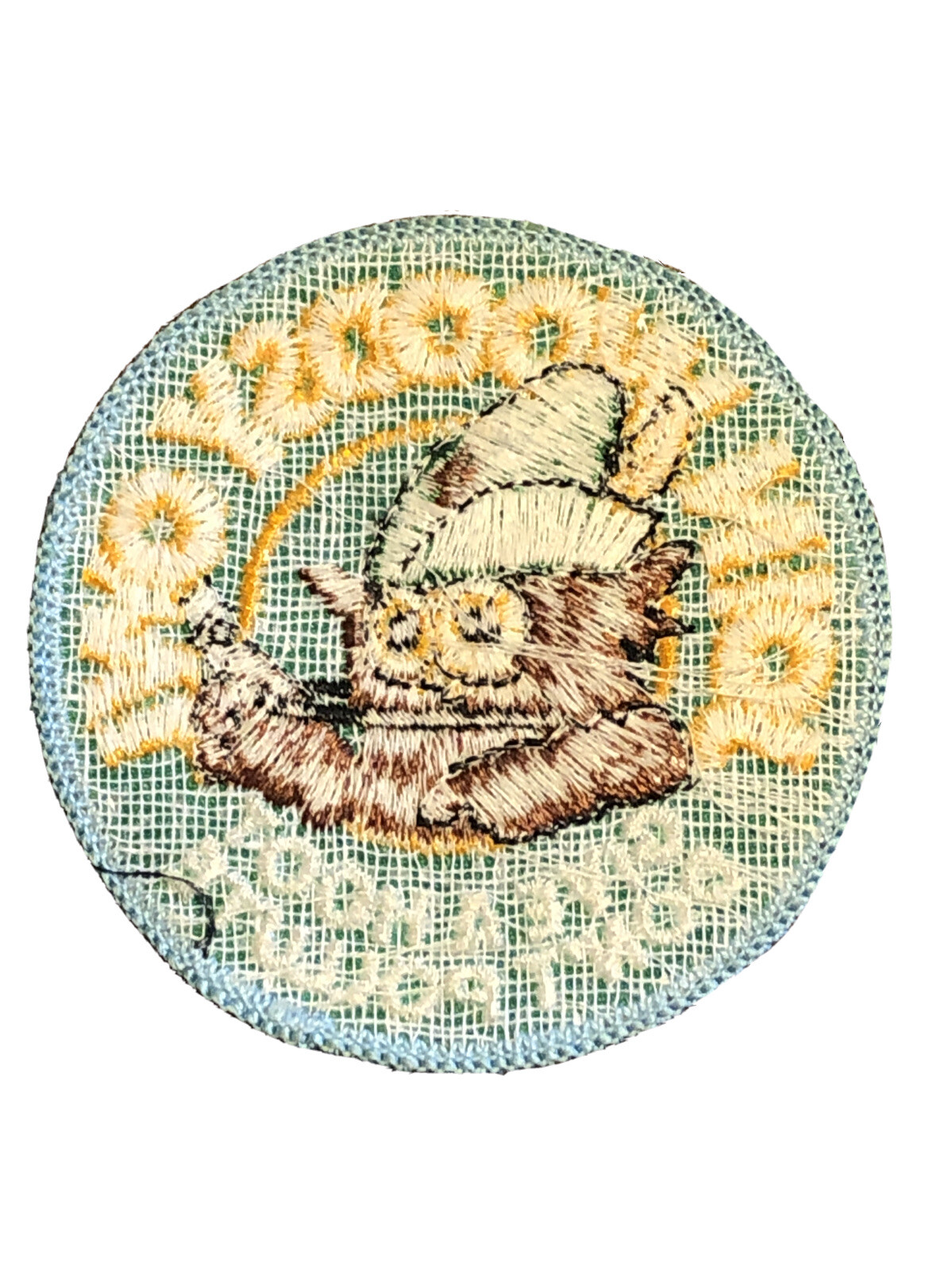 Woodsy Owl Give a Hoot Don’t Pollute Sew-On Patch USFS Forest Service