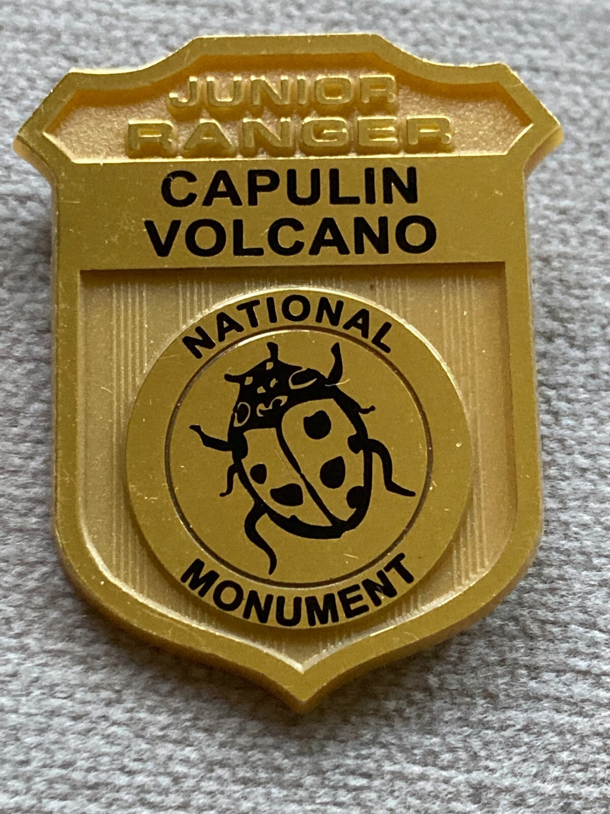 CAPULIN VOLCANO NEW MEXICO National Park Junior Ranger Badge LADYBUG Birds Geolo