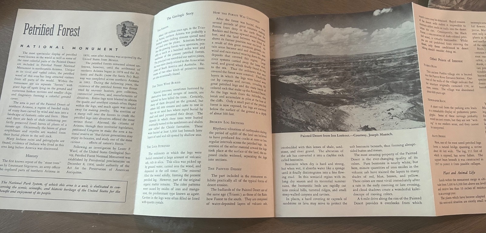 Lot of 3 Vtg Nat’l Park Brochures 58-60 Grand Canyon, Sequoia, Petrified Forest