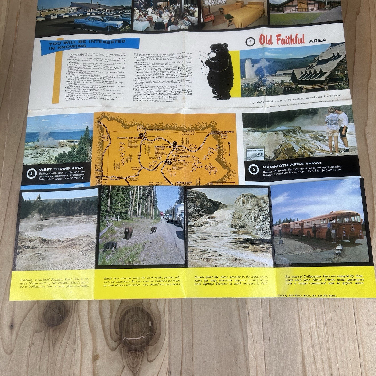 Yellowstone National Park Tourist Brochure 1963 Plastic Coated Wyoming