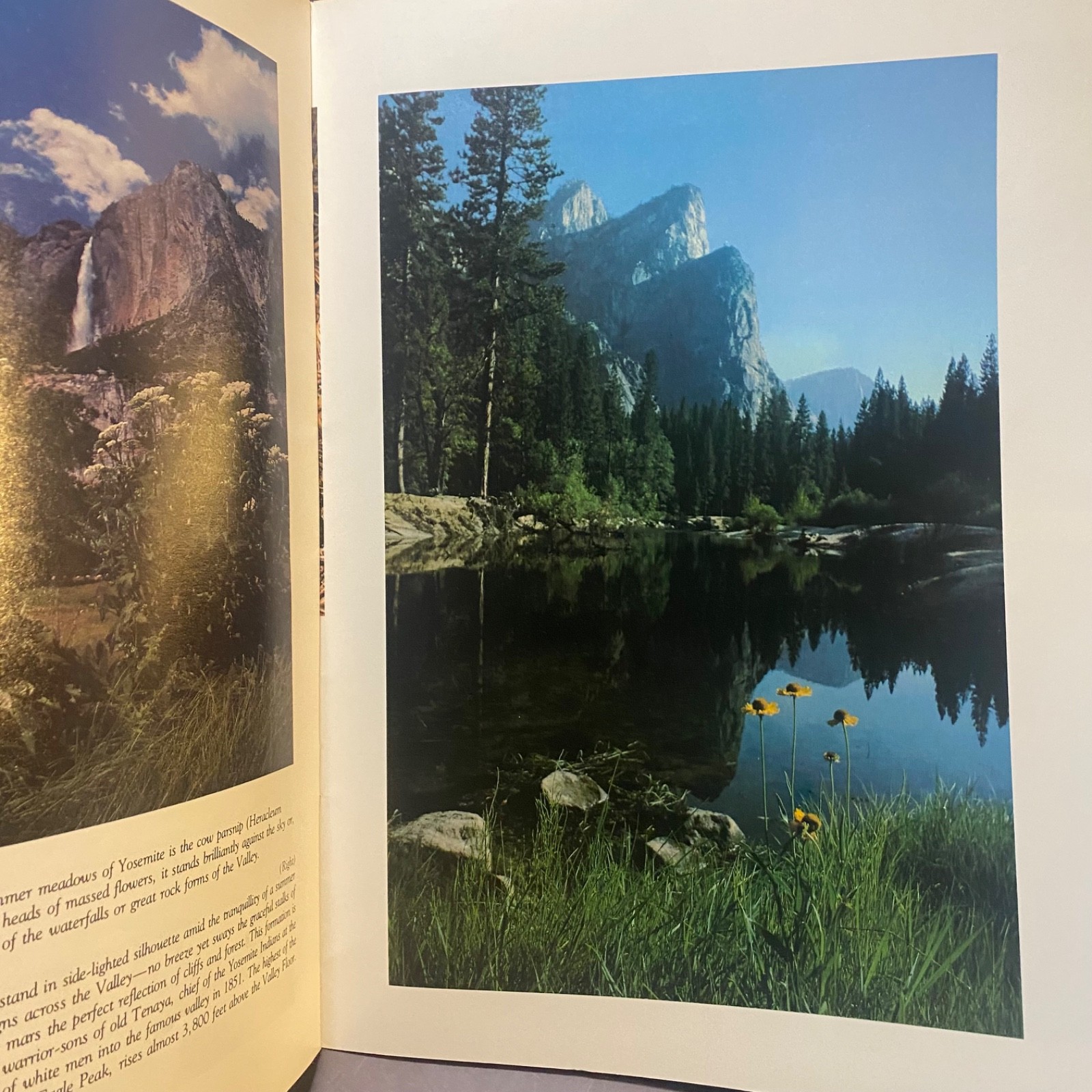 The Four Seasons of Yosemite Photos and Text by Dana Morgenson 1978