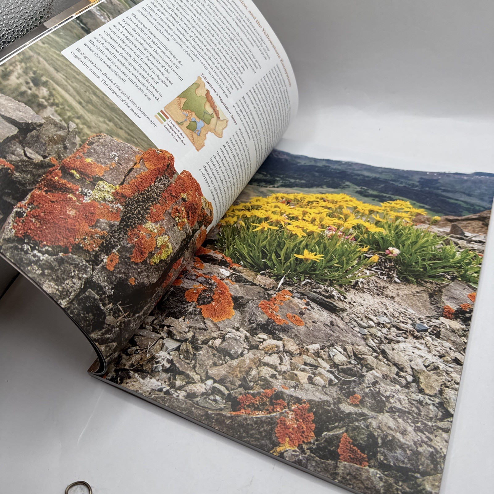 Lot of Vintage Yellowstone National Park Guide Book Map 20 Postcards