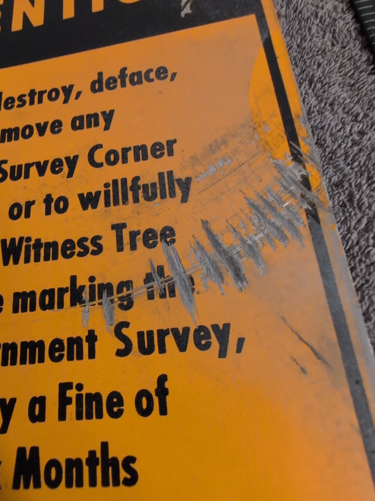 VINTAGE SIGN GOVERNMENT SURVEY CRIMINAL WARNING US FOREST SERVICE DEPARTMENT