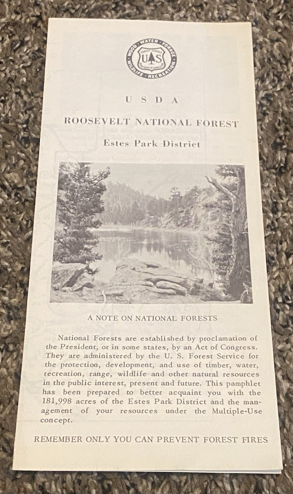 Vtg USDA Estes Park Roosevelt National Forest Brochure Map Smokey Bear Colorado