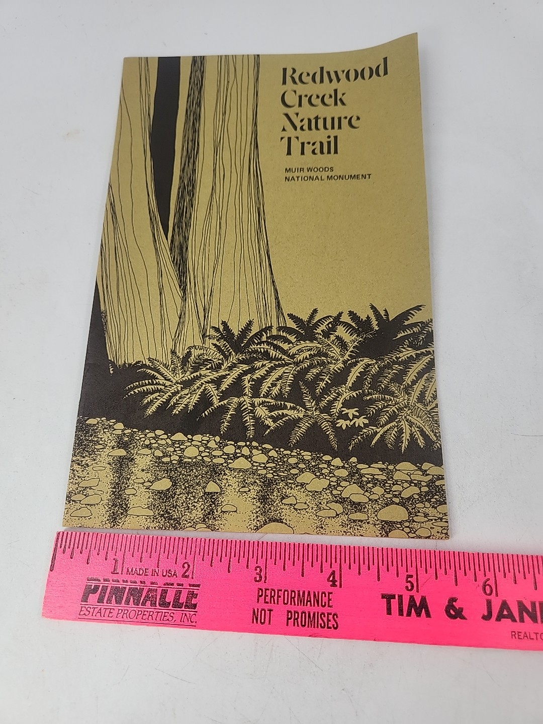 Vintage Muir Woods Monument Nature Lover Brochure Ephemera And Map
