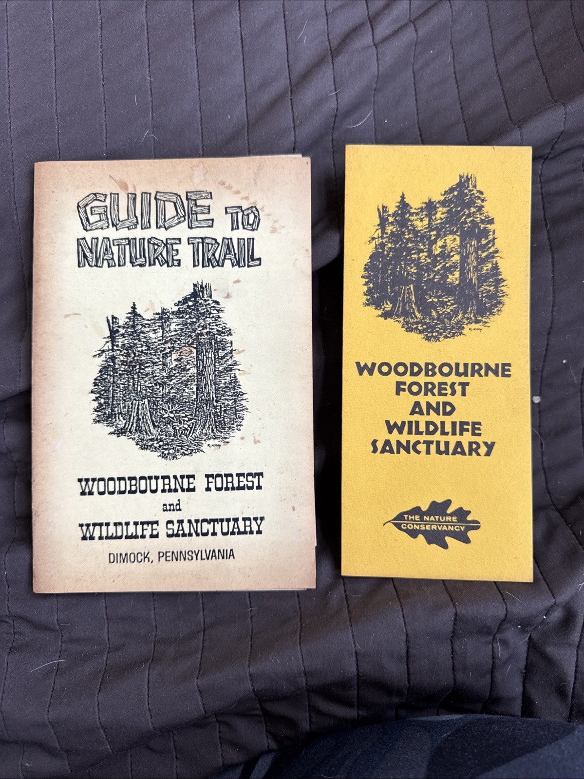 2 Vintage Guides To Nature Trail Guide 1984 Dimock Pa Hike Walk Tour Woodbourne