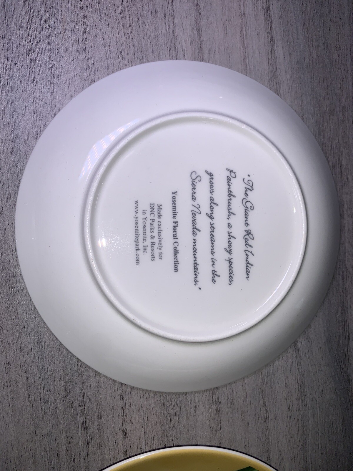 YOSEMITE FLORAL DESSERT PLATES: SET OF 4 YOSEMITE DNC PARKS AND RESORTS 6” NIB