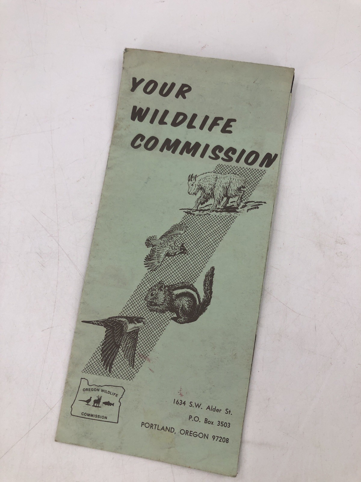Vintage Sportsman Haynes Guide YOSEMITE Wilderness Survival Maps Archery 1969