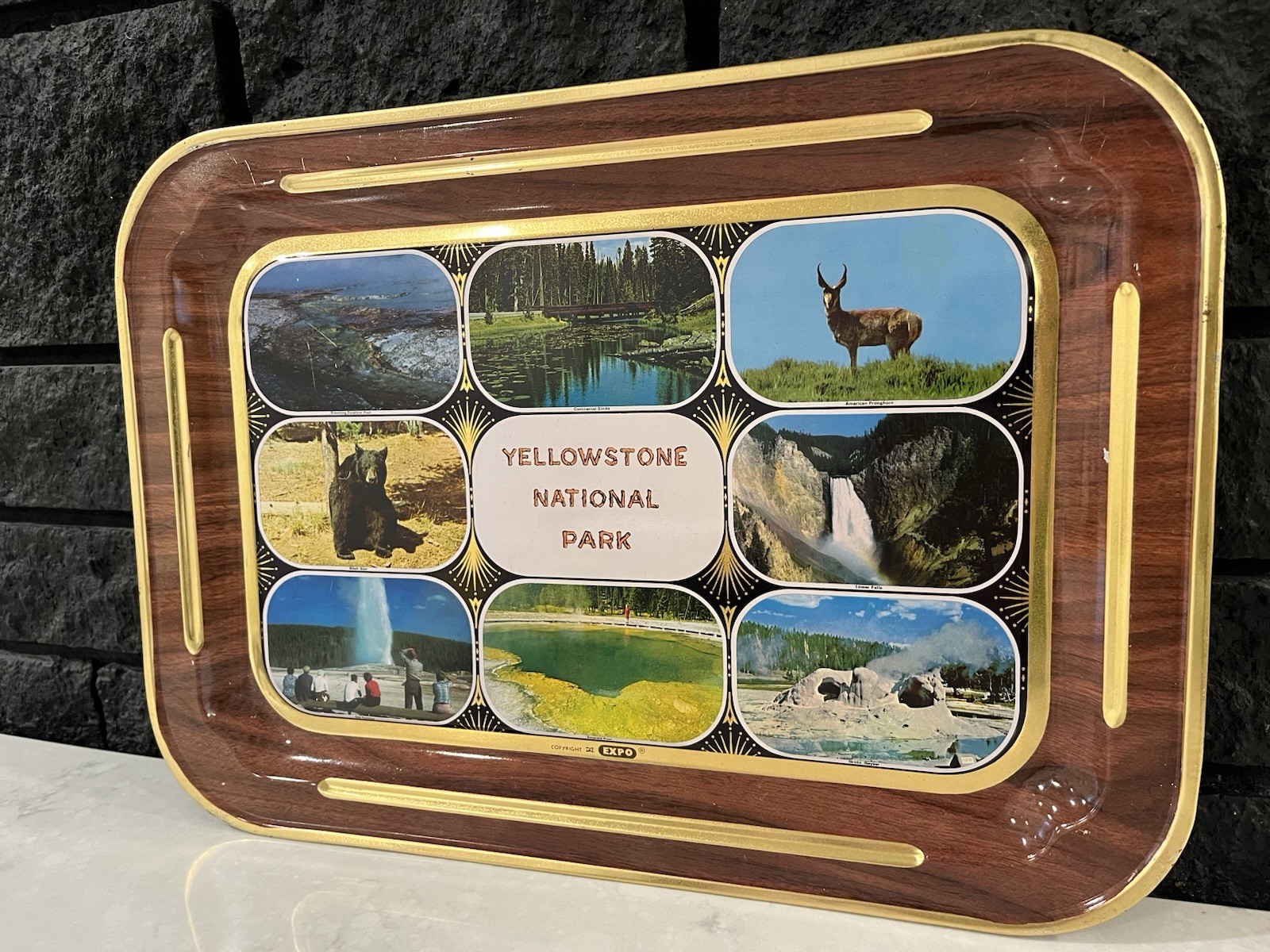 Vintage Yellowstone National Park Expo Tin Tray 17×14