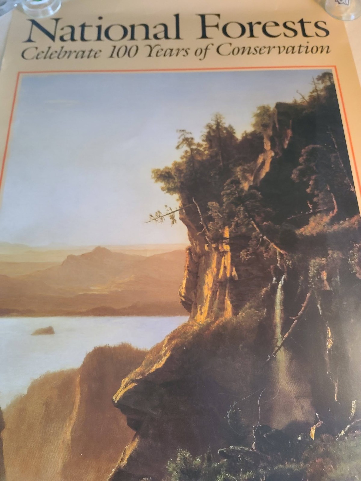 National Forests Conservation Poster US Forest Service 24×36