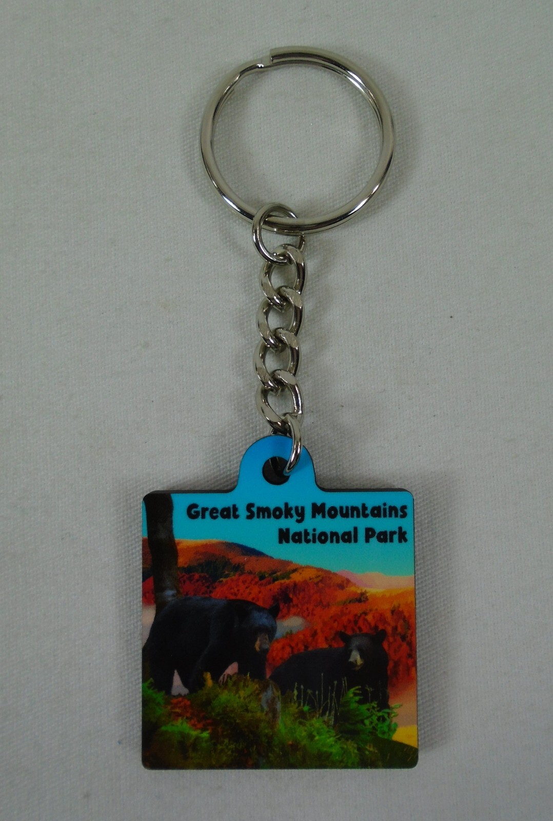 Great Smoky Mountains National Park Black Bear & Cub Keychain Souvenir Ring Fob