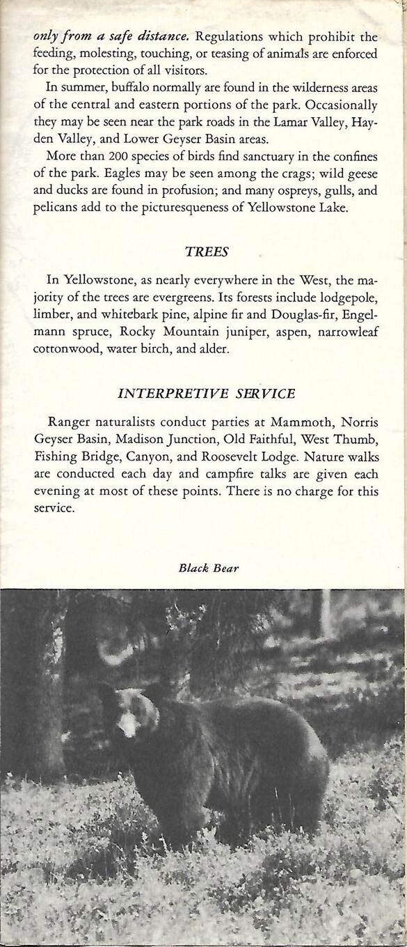 Official 1951 Road Map Brochure YELLOWSTONE NATIONAL PARK Montana Wyoming Idaho