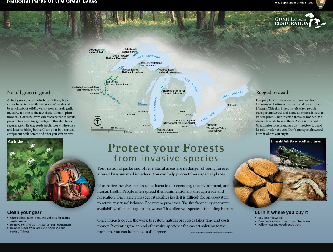 4 -Great Lakes National Park Service 24×18 2 Sided Posters Lakes Forest Dunes