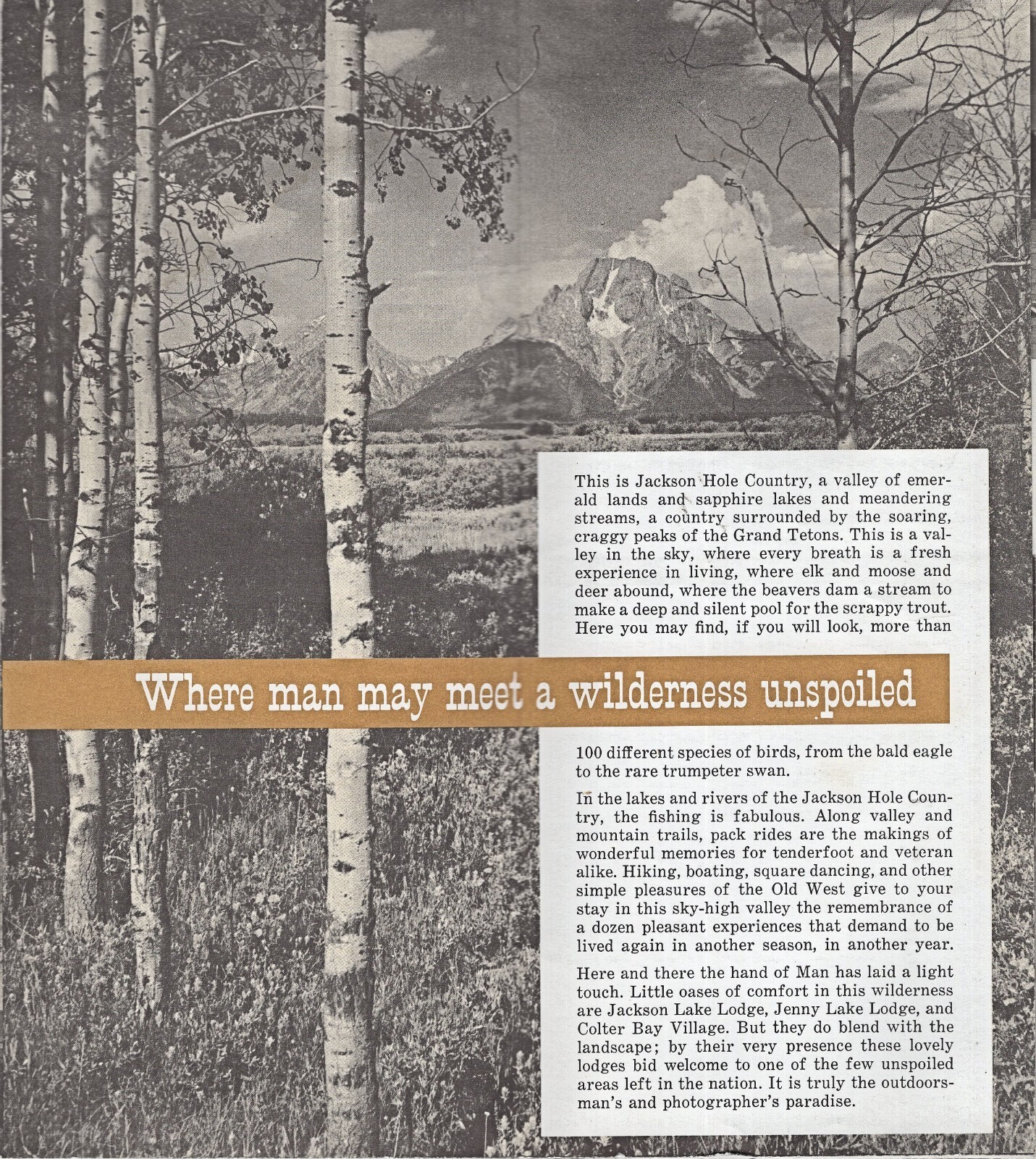 1963 Grand Teton National Park Rates & Lodging Pamphlet