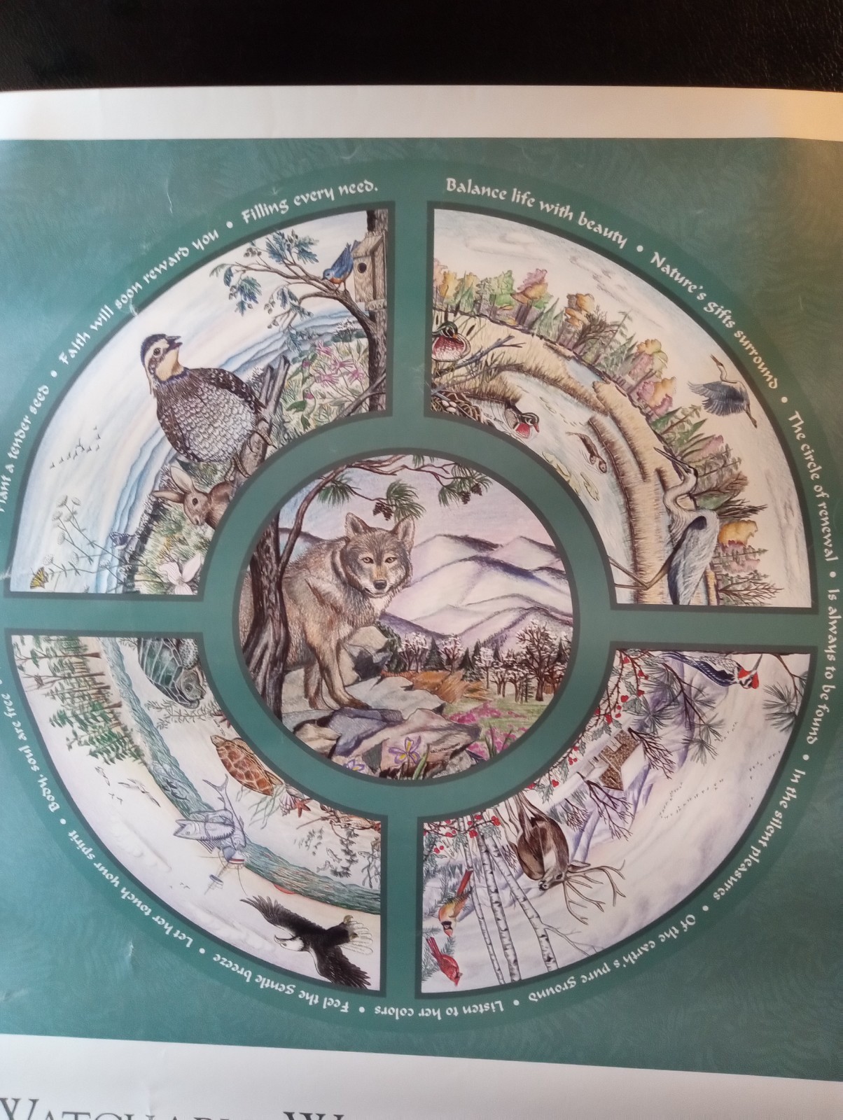 Lot of 5 Vintage National Watchable Wildlife Refuge Posters, Sandhill Crane BLM