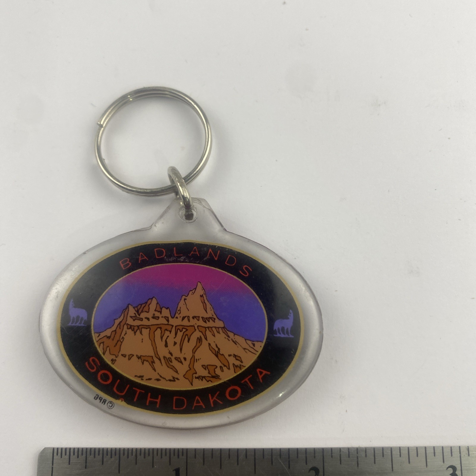 Badlands National Park South Dakota Souvenir Acrylic Keychain