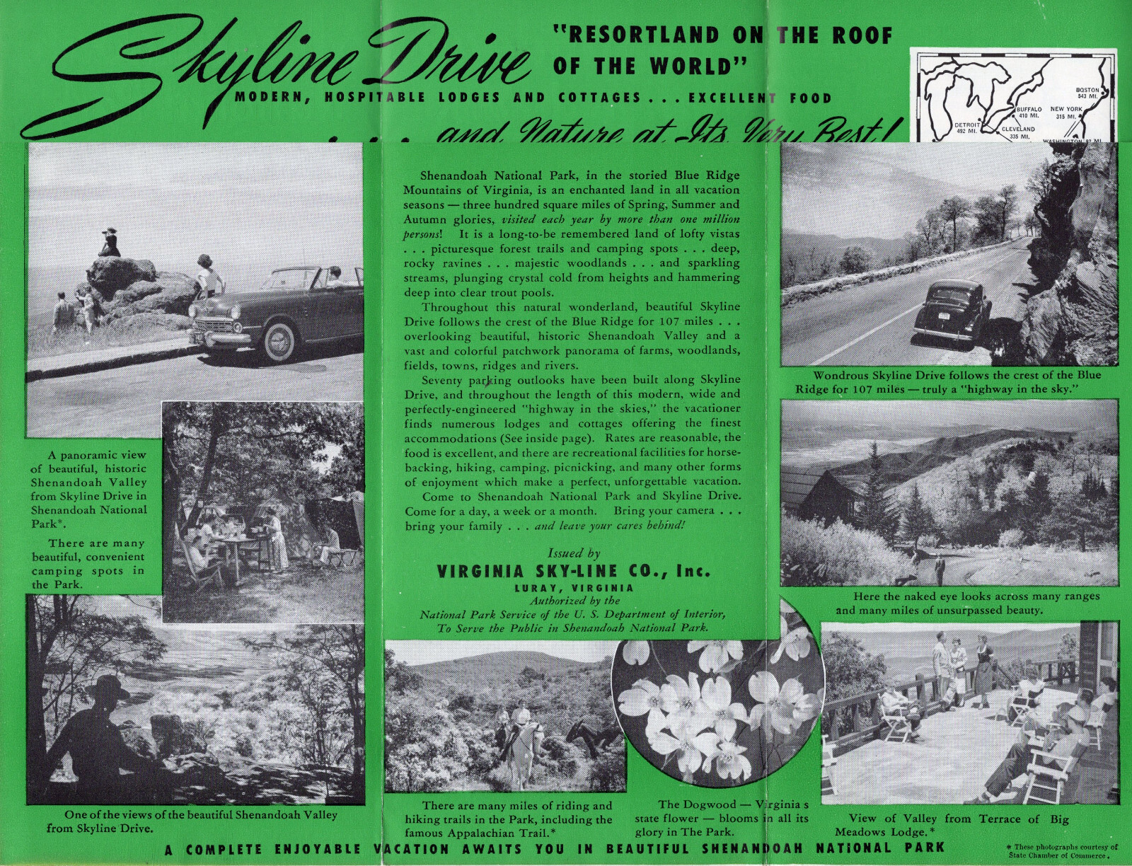 Skyline Drive Shenandoah National Park Virginia Vintage Illustrated Brochure