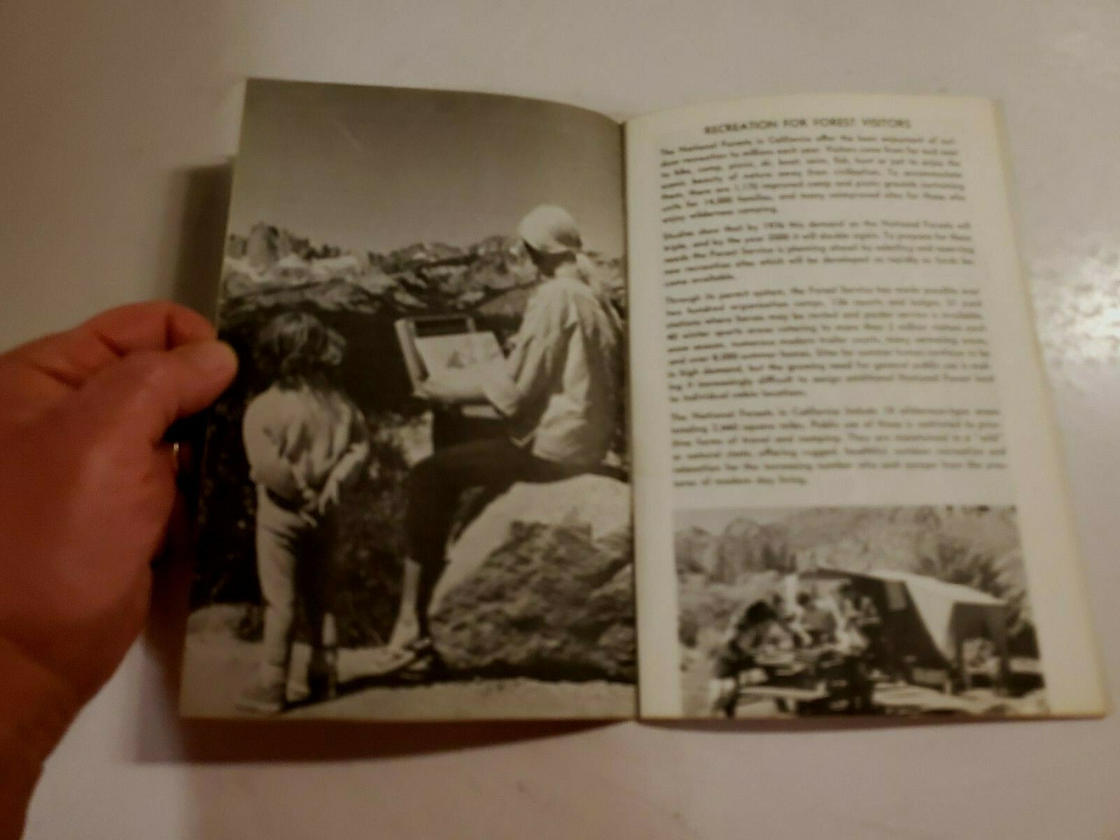 1964 NATIONAL FORESTS OF CALIFORNIA – U.S. DEPT. OF AGRICULTURE, PB, B301