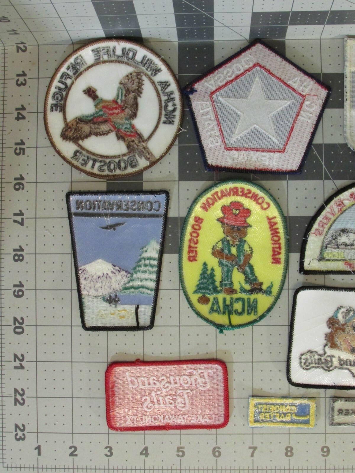 13 PATCHES NCHA Conservation Disaster Convention Texas Hiker Disaster Campers ++