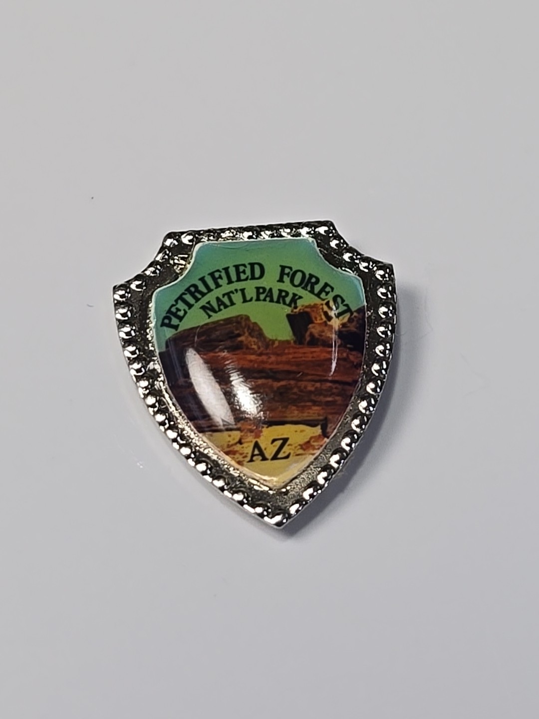 Petrified Forest National Park Travel Souvenir Lapel Pin Arizona SMALL SIZE