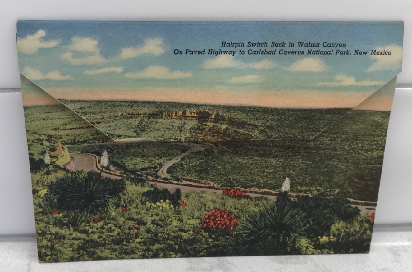 Jim White Carlsbad Caverns National Park Souviner Booklet & Post Cards 2 RPPC