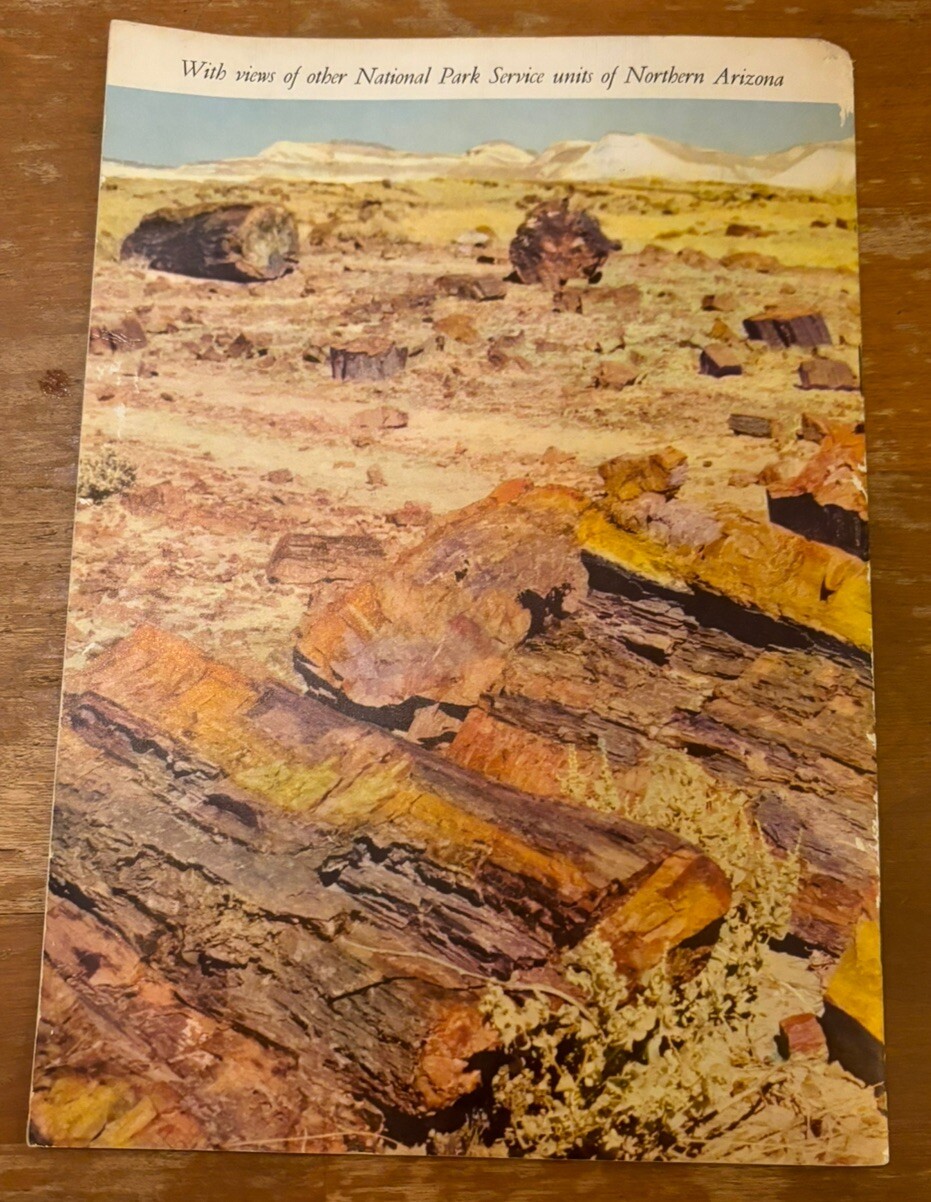 Agatized Rainbows A Story of the Petrified Forest Travel Souvenir Book 1951