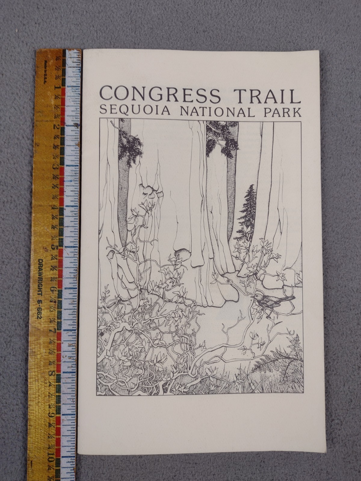 Sequoia National Park Booklet Brochure Congress Trail California Vintage 1985