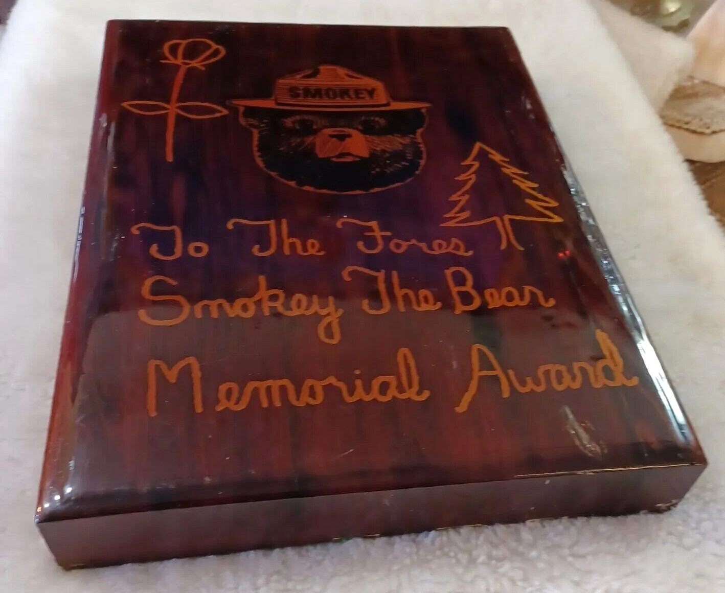 Rare Vintage SMOKEY THE BEAR Memorial Award Wood Plaque Mandela Effect
