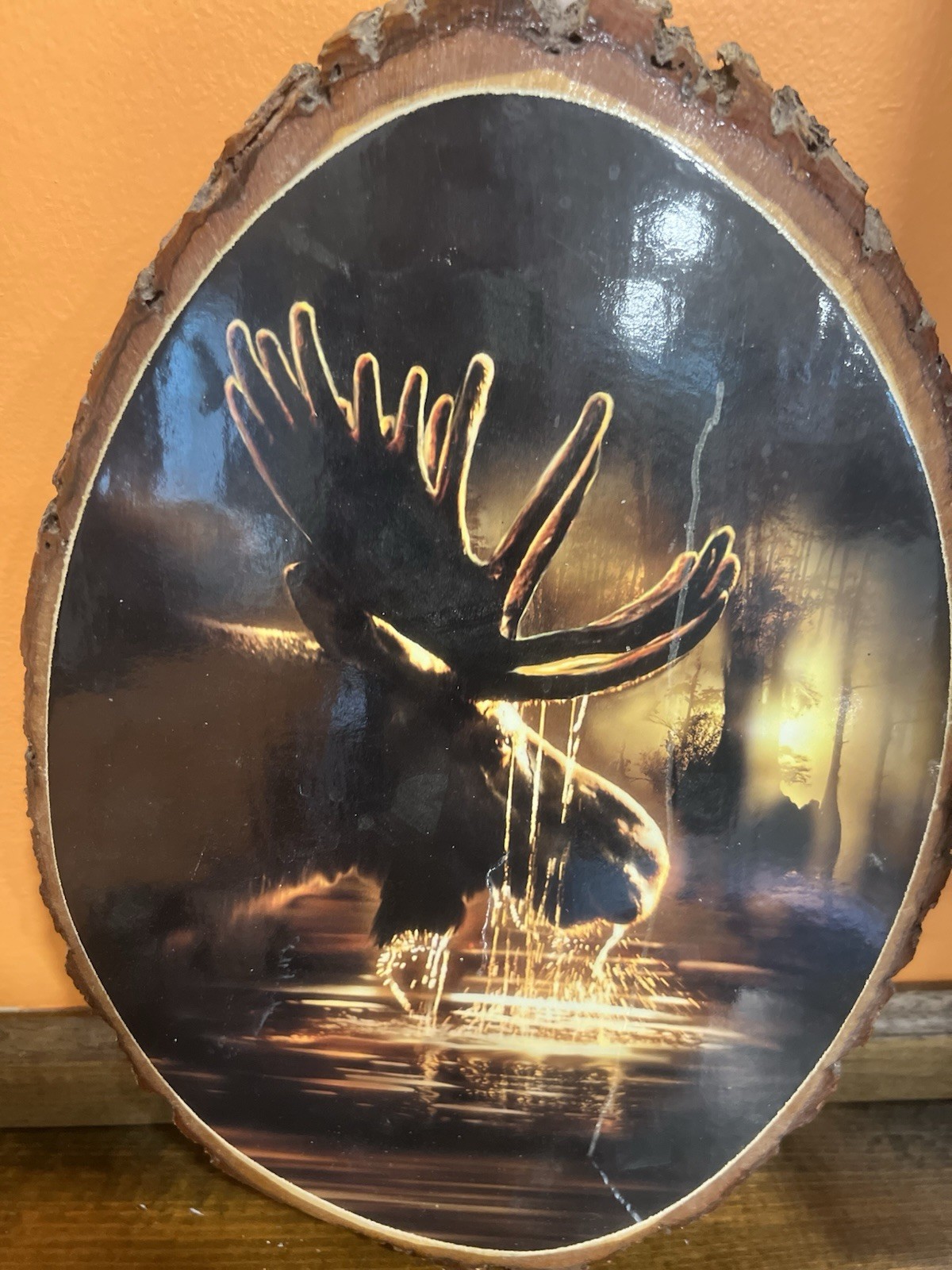 Northwoods Wisconsin Wall Plaque On Tree Wood Slab “Moose” Souvenir