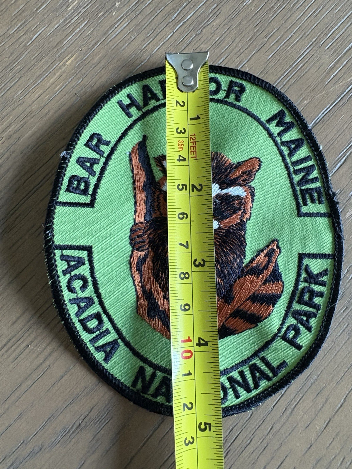 Bar Harbor Maine Acadia National Park Raccoon Patch Green 5×4”