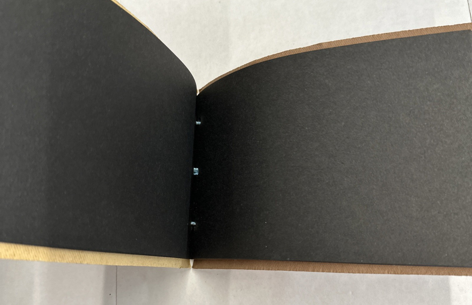 Suade Yellowstone National Park Souvenir Photo Album Hand Painted Bear 20 pages