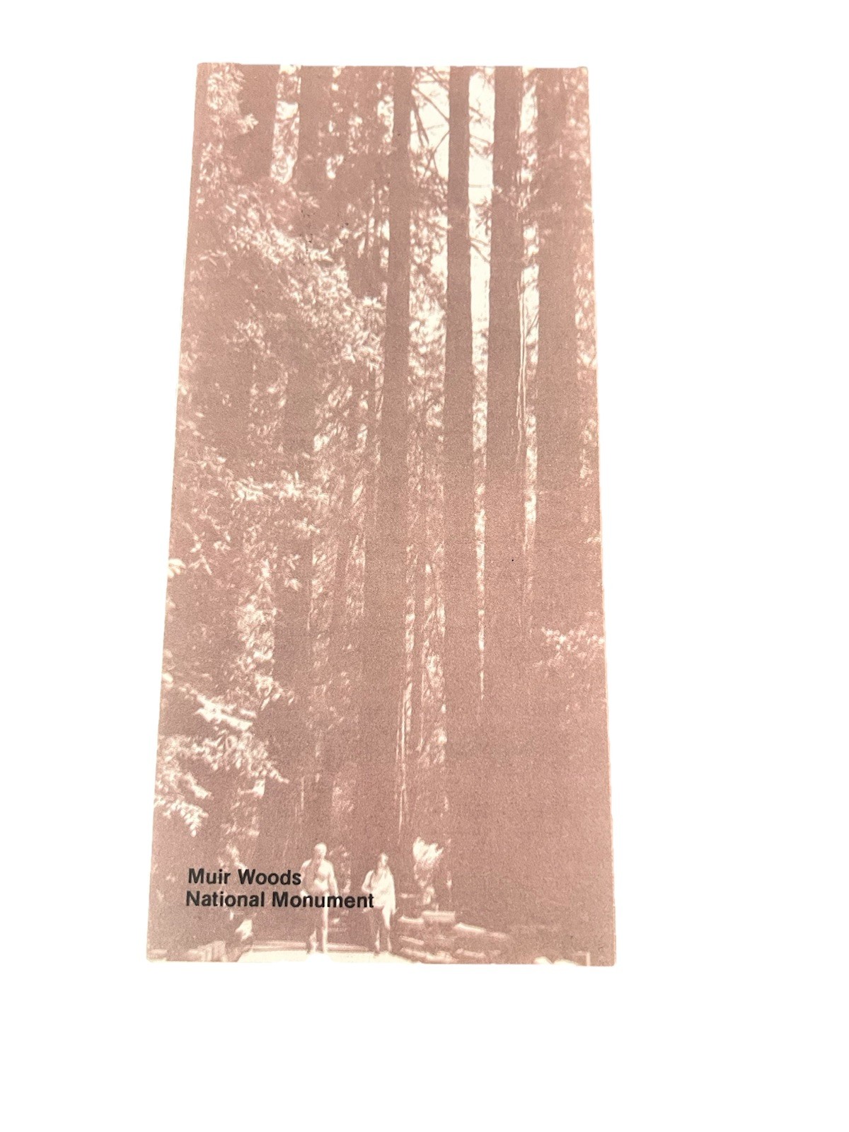 1985 Muir Woods National Monument Vintage Park Brochure Map California Redwoods