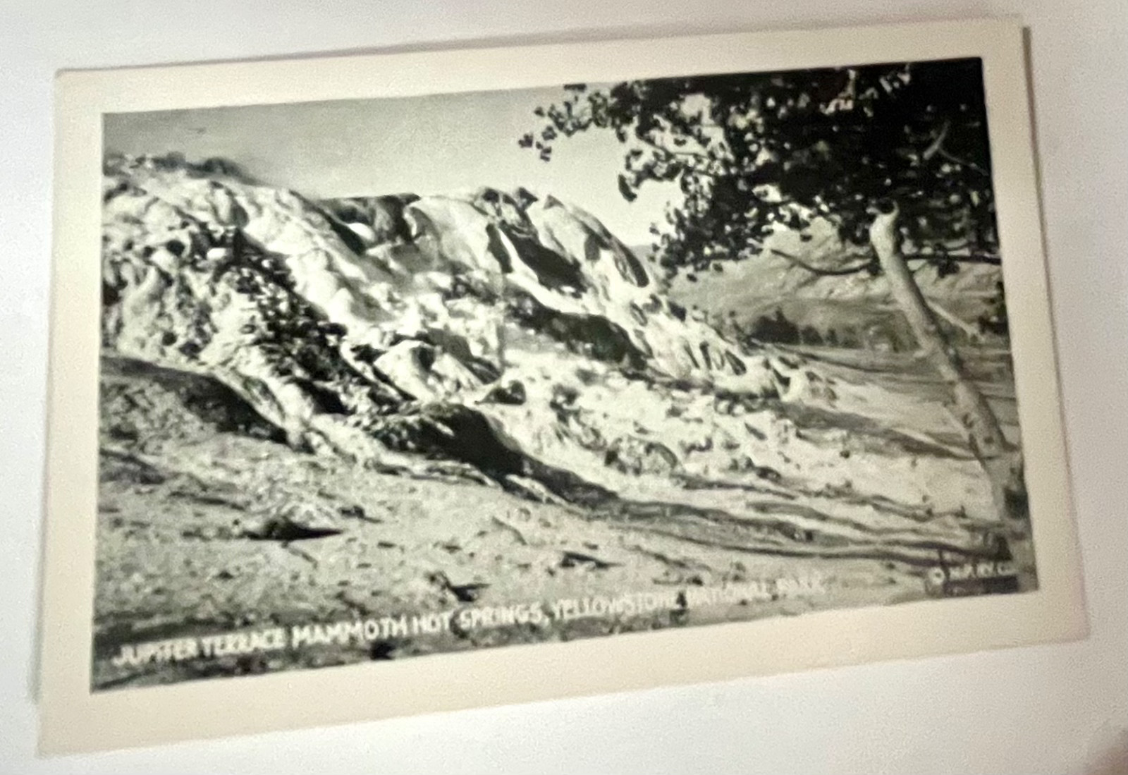 1923 Bardell Fototone Miniatures 20 Views Yellowstone National Park Photo Set-VG