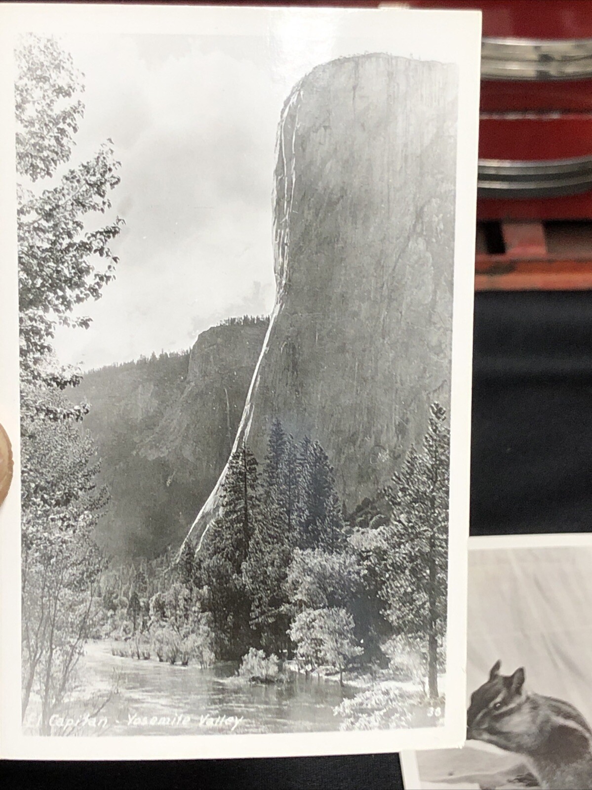 1930s-1950s Vintage Postcards of Yosemite Park RPPCs NOS (P129)