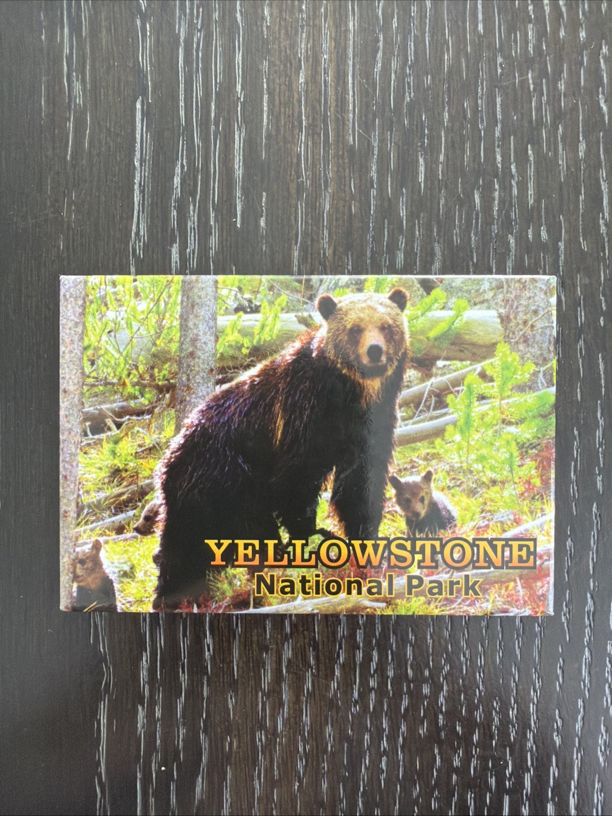 Yellowstone National Park Bear Magnet