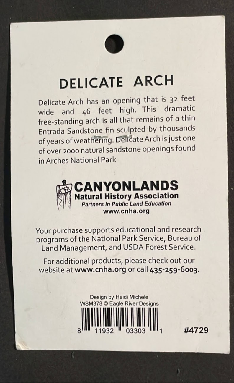 Arches National Park Lizard Scenic Travel Souvenir Pin NEW