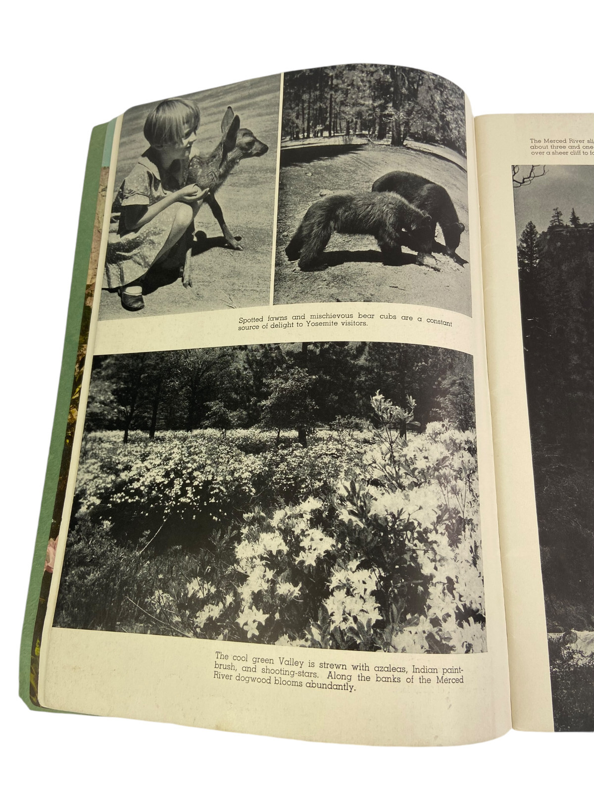 The Four Seasons Yosemite National Park (Booklet, 1938) Photography Ansel Adams