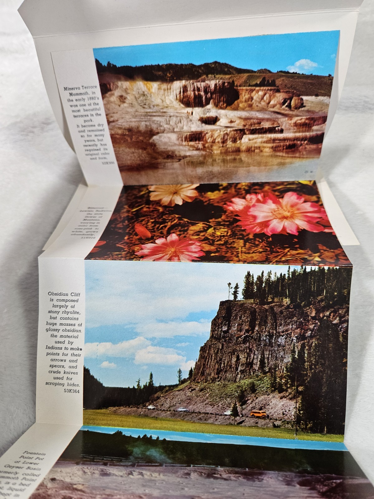 YELLOWSTONE NATIONAL PARK 1957 “PICTURAMIC” Unused Post Card With Photos