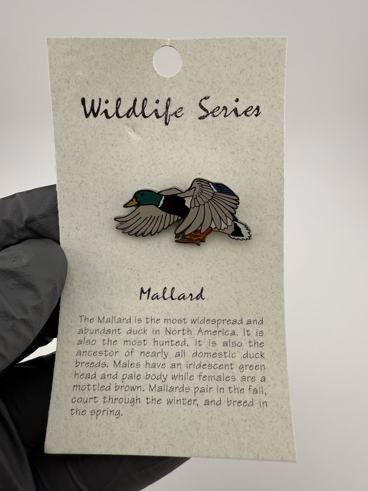 4 Zion National Park Mallard, Bluebird, Collard Lizard, Red-tailed Hawk Pins.