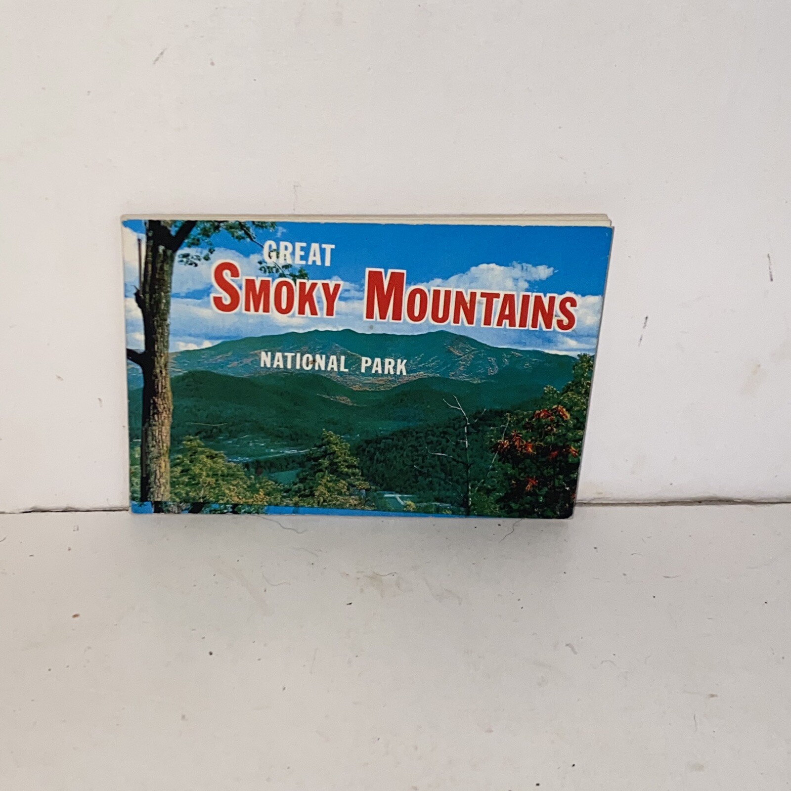 Vintage Great Smoky Mountains National Park Souvenir Color Photo Picture Book