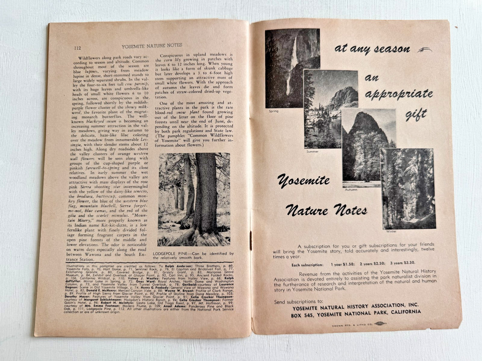 1956 Self Guided Auto Tour Book of Yosemite National Park