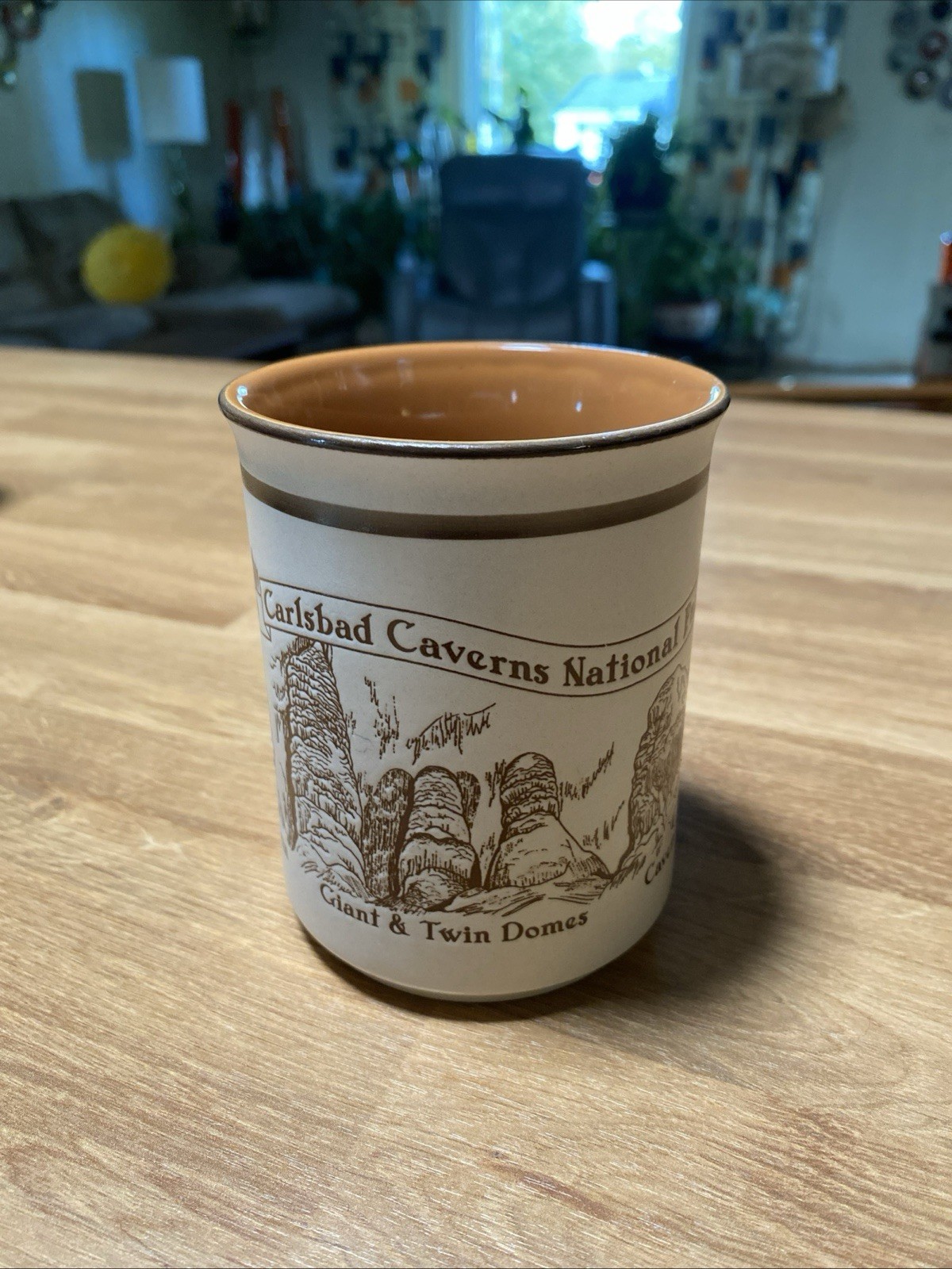 Carlsbad Caverns National Park Embossed Ceramic Coffee Mug New Mexico NOS