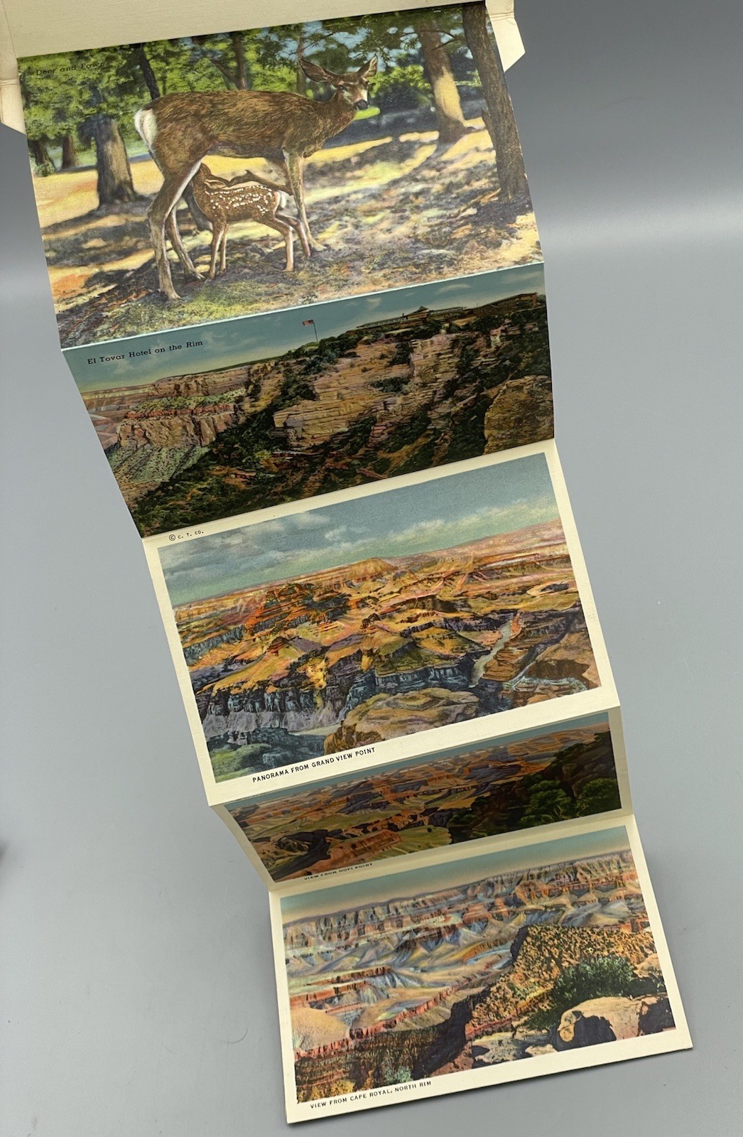 Grand Canyon National Park C. T. Colortone Linen Postcard Booklet, Circa 1939