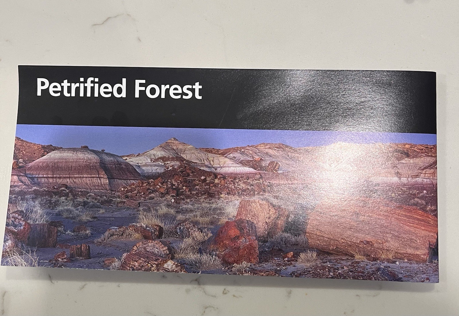 Petrified Forrest National Park Arizona Official Map With America 250 Stamp
