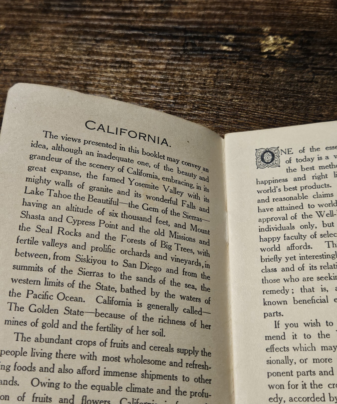 c1900 California Fig Syrup Travel Brochure Yosemite Lake Tahoe Shasta Santa…
