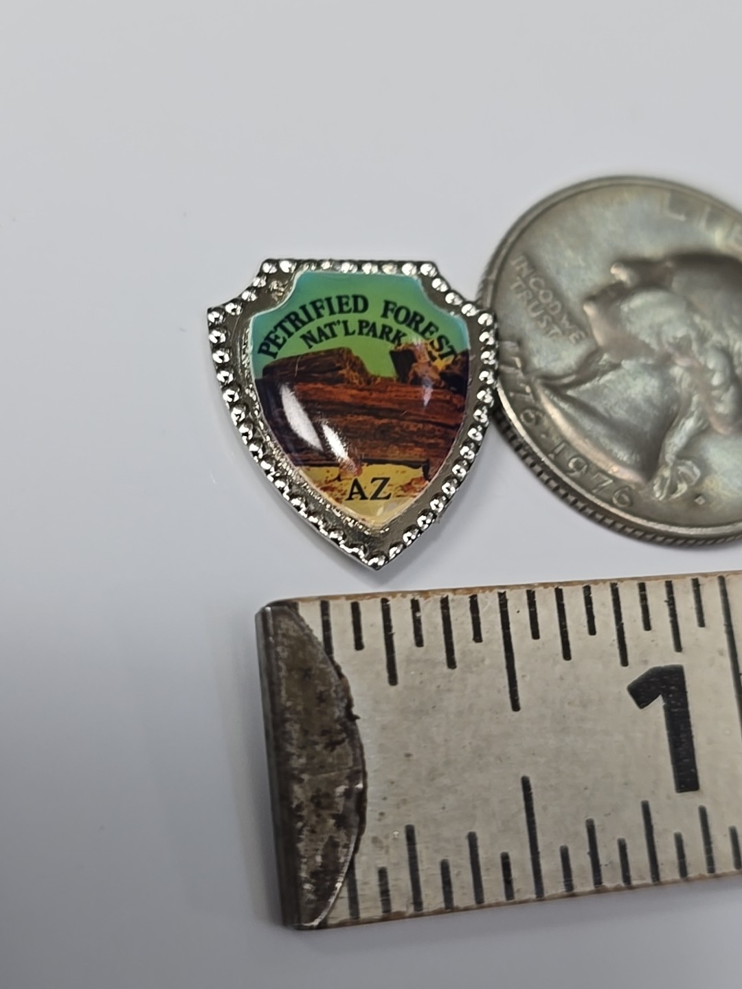 Petrified Forest National Park Travel Souvenir Lapel Pin Arizona SMALL SIZE