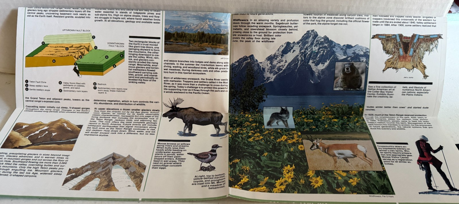 Vintage Grand Teton National Park Official Map and Guide US Dept of Interior!