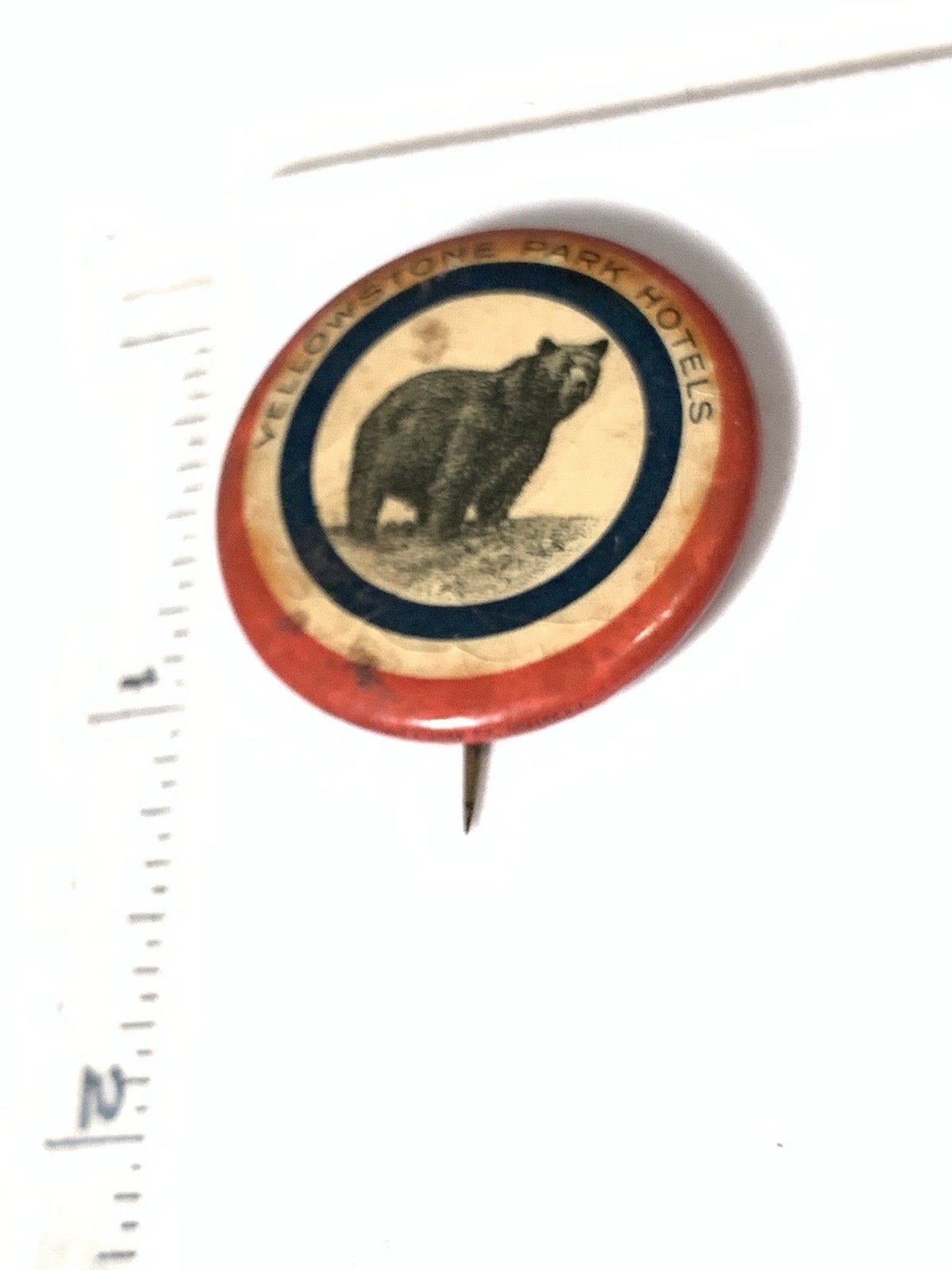 Vintage Antique 1900s Yellowstone Park Hotels Bear Cracked Celluloid Pin